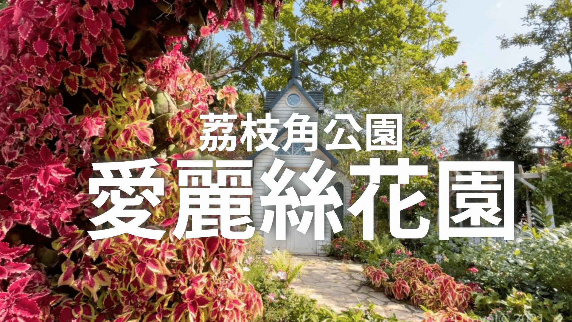 荔枝角公園 愛麗絲花園