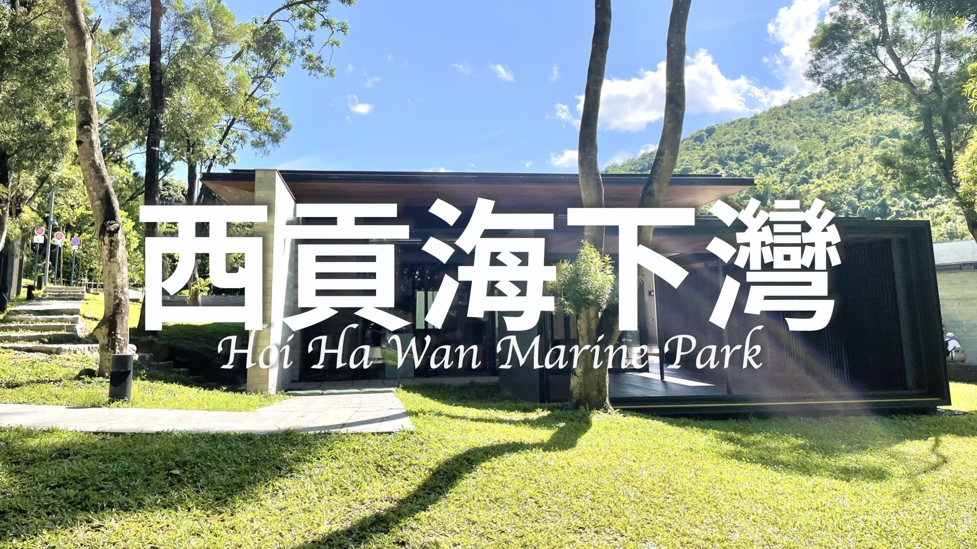 【🇭🇰香港郊遊】西貢海下灣海岸公園一日遊