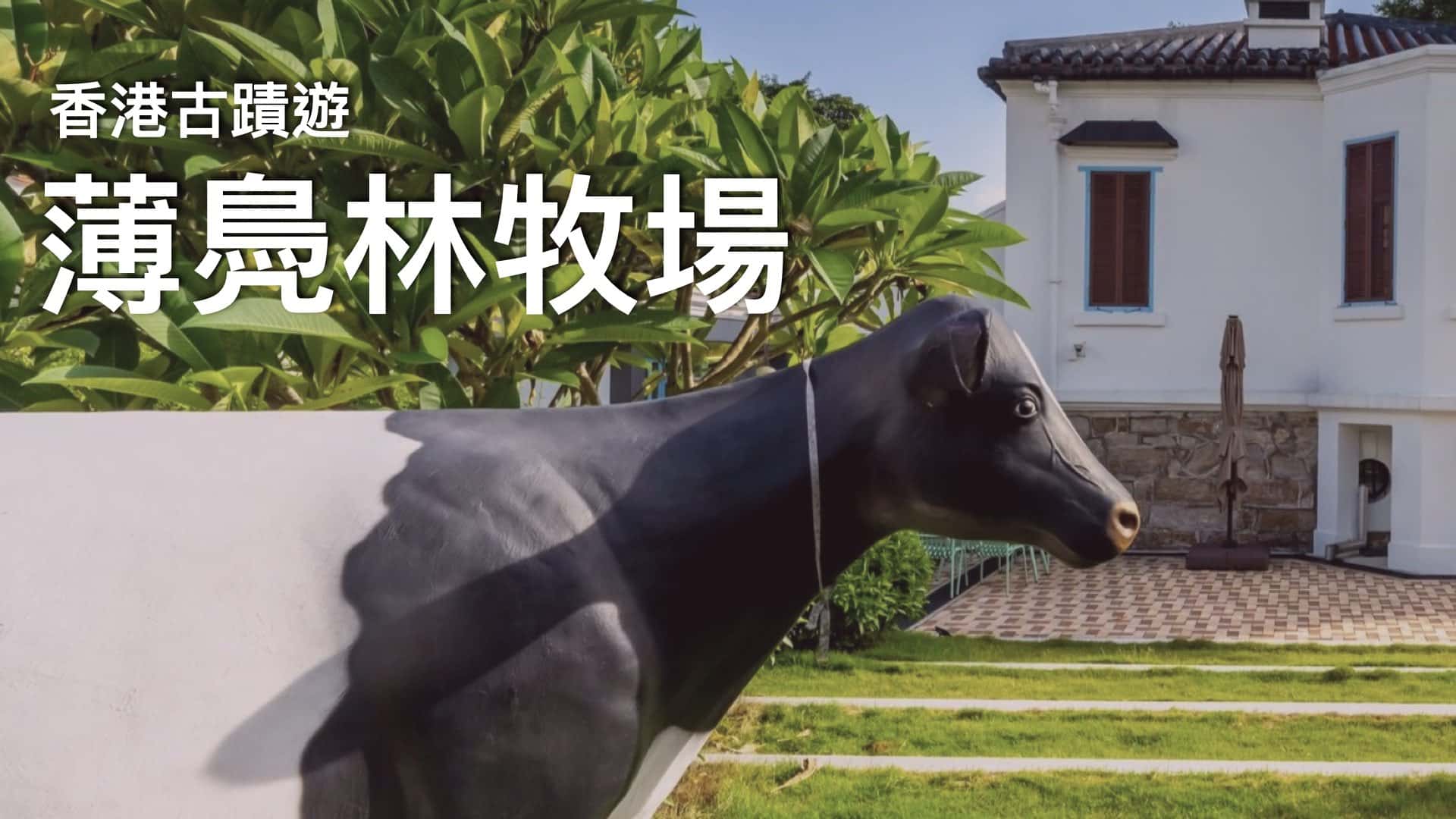 【香港古蹟遊】薄鳧林牧場～前身是香港牛奶公司？！ // 深入了解薄扶林社區歷史（免預約入場｜免費導賞團預約）