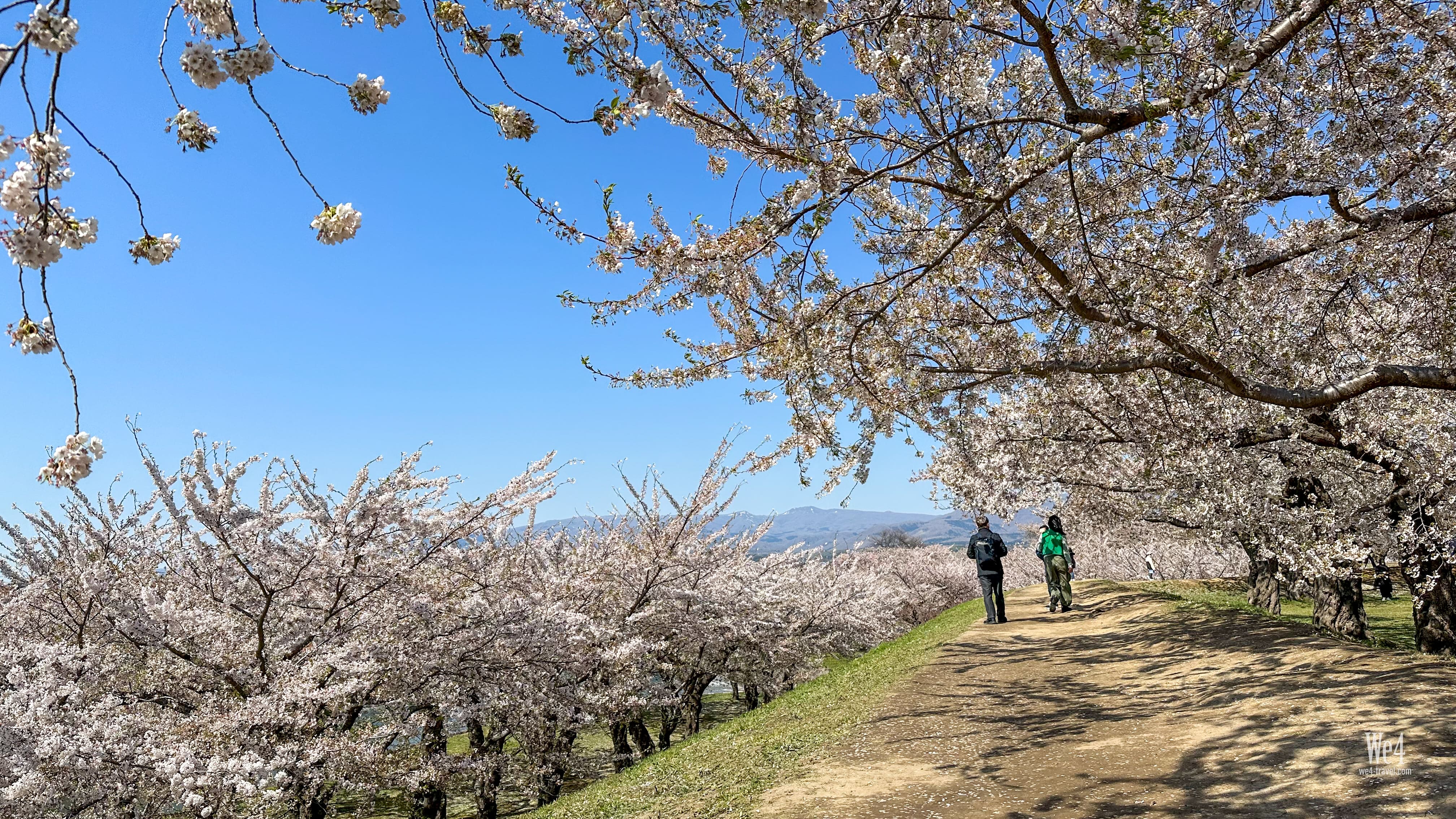 五稜郭公園