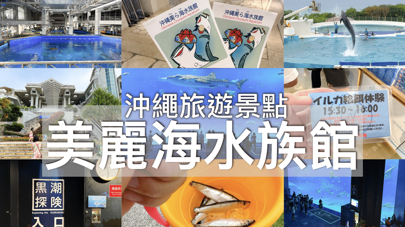 【沖繩旅行遊記】美麗海水族館全攻略 ｜餵食海豚體驗 & 黑潮探險（附Map Code）