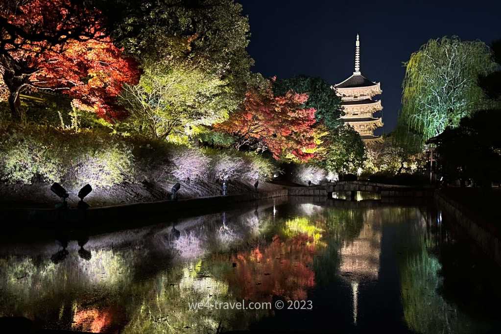 京都東寺夜楓