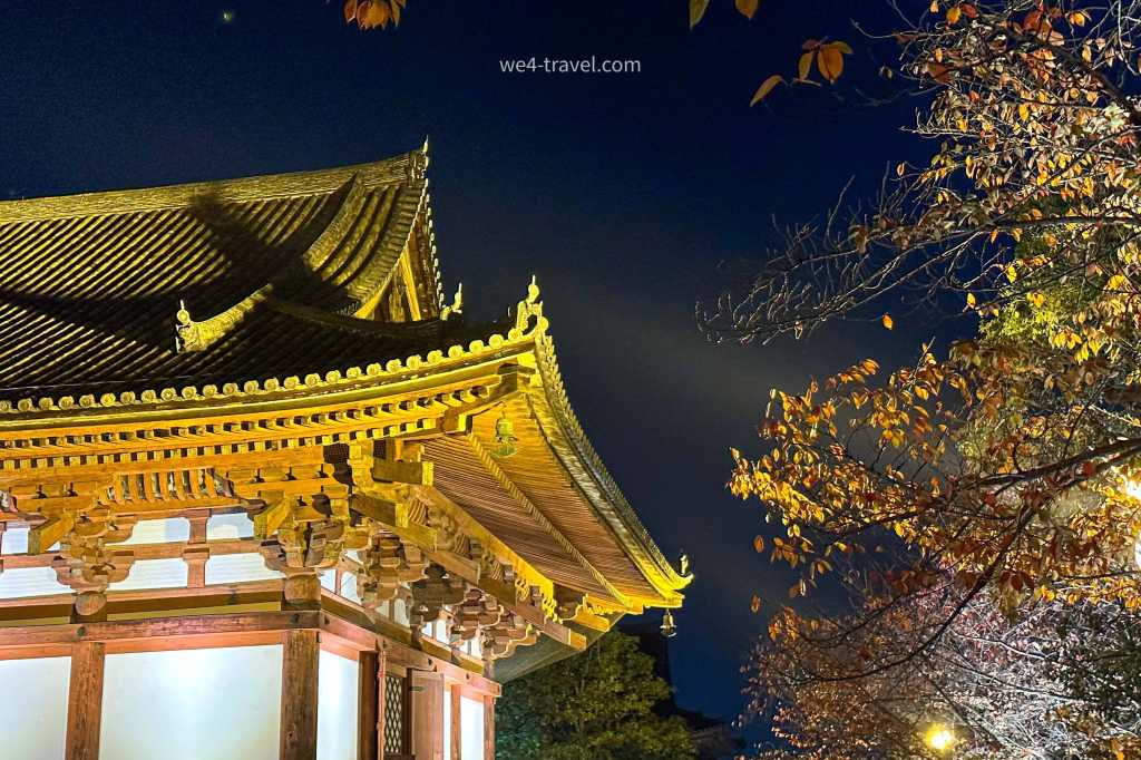 京都東寺夜楓