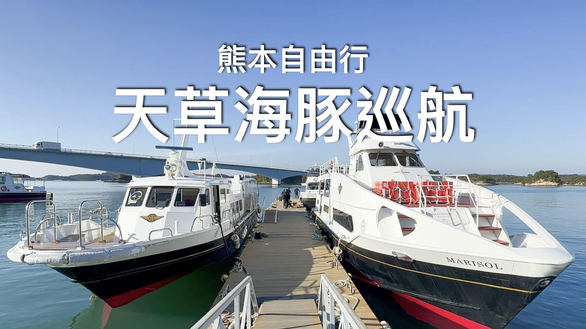 【熊本近郊遊記】出海看海豚！99%機會可以看到的天草海豚 // 親眼看過百隻海豚很感動！（附預約購票資訊｜交通資訊｜船家比較）