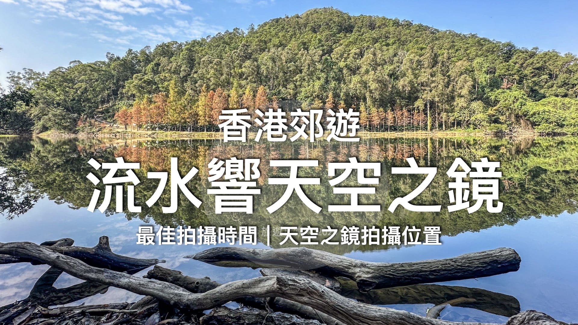 【香港郊遊】流水響落羽松 /「天空之鏡」的影相最佳位置！