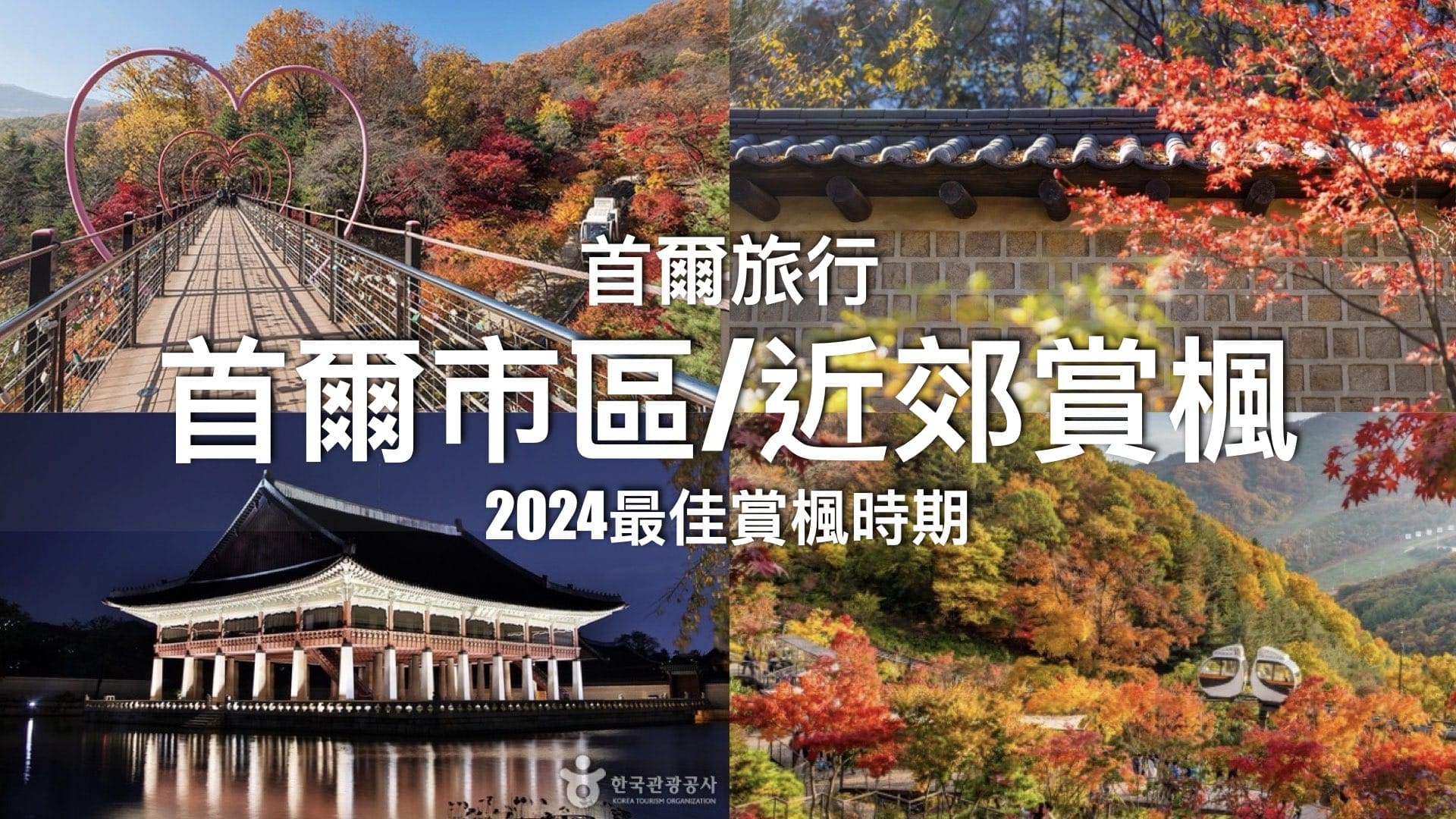 首爾紅葉2024