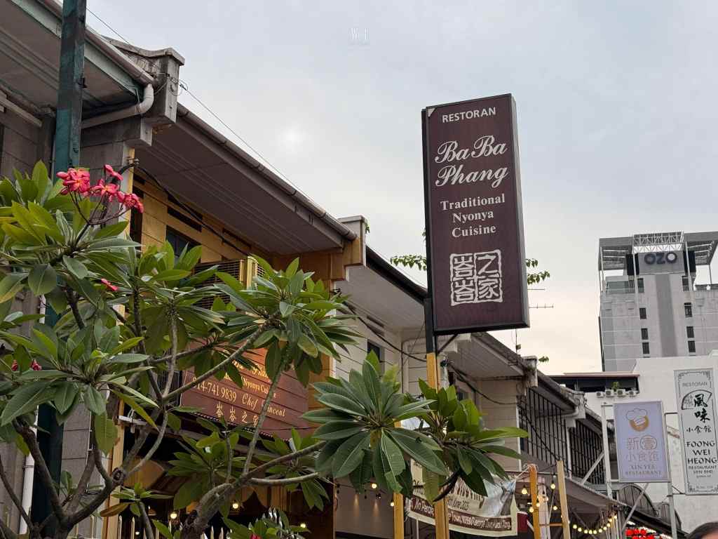BaBa Phang 檳城娘惹菜